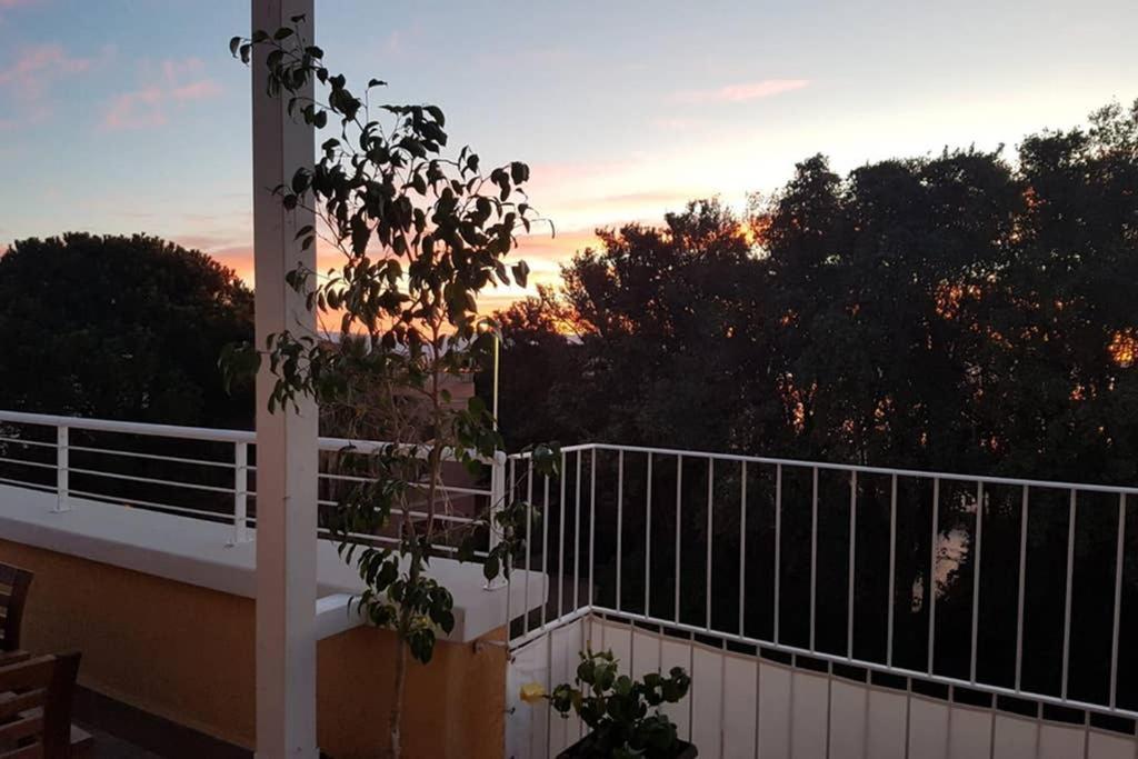 Suite Milu Cagliari Luaran gambar